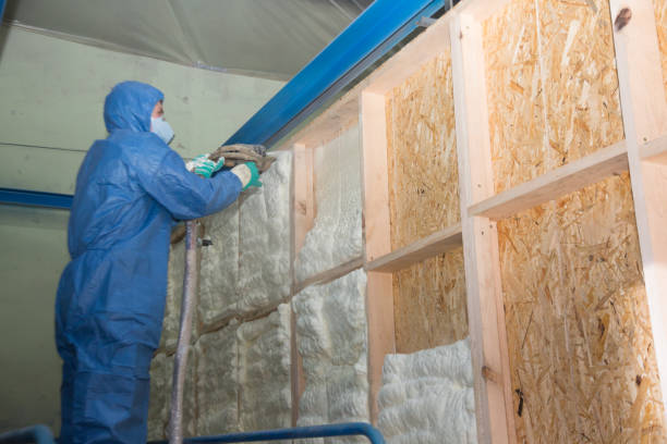 Best Spray Foam Insulation  in Clarksville, TX